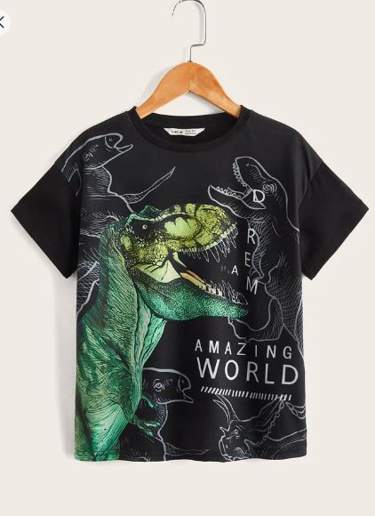 Shein Tween Boys' Casual Letter & Dinosaur Printed T-Shirt, 11-12T */