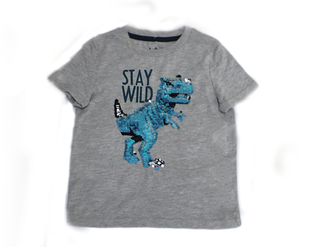 JEM Dinosaur T-shirt For Kids, 4T*